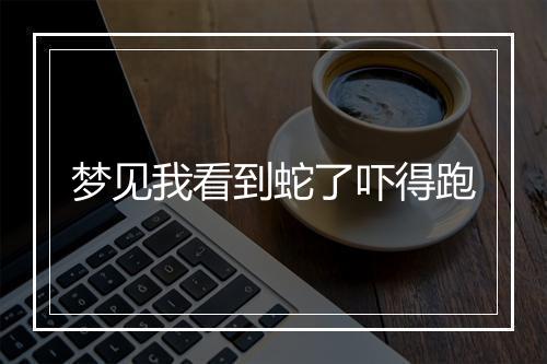 梦见我看到蛇了吓得跑