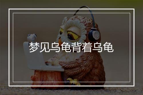 梦见乌龟背着乌龟