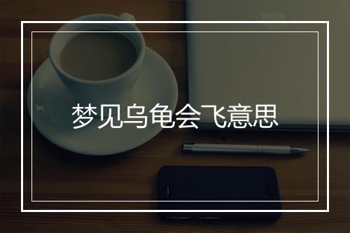 梦见乌龟会飞意思