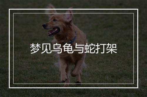 梦见乌龟与蛇打架