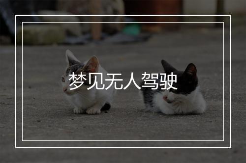 梦见无人驾驶