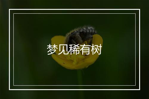 梦见稀有树