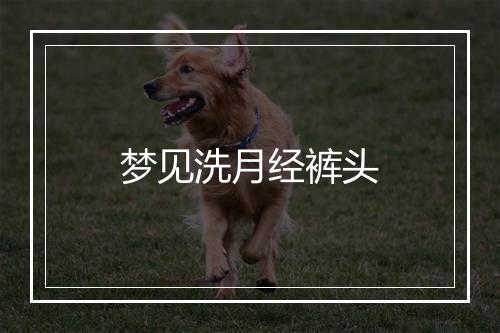 梦见洗月经裤头