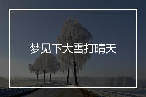 梦见下大雪打晴天