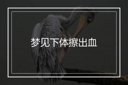 梦见下体擦出血