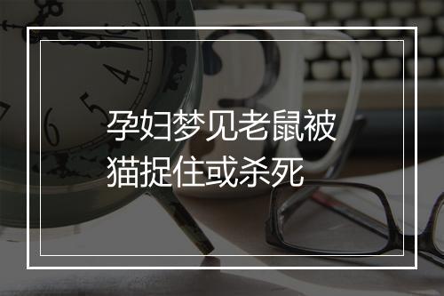 孕妇梦见老鼠被猫捉住或杀死