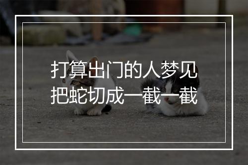 打算出门的人梦见把蛇切成一截一截