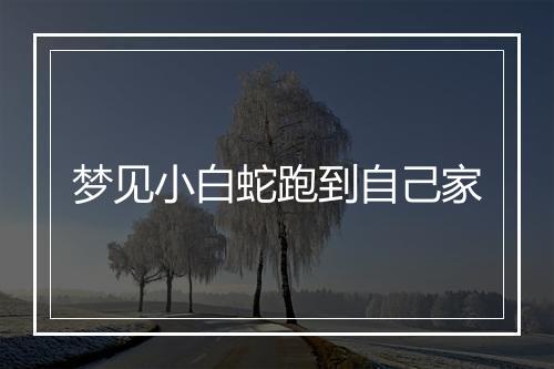 梦见小白蛇跑到自己家