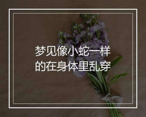 梦见像小蛇一样的在身体里乱穿