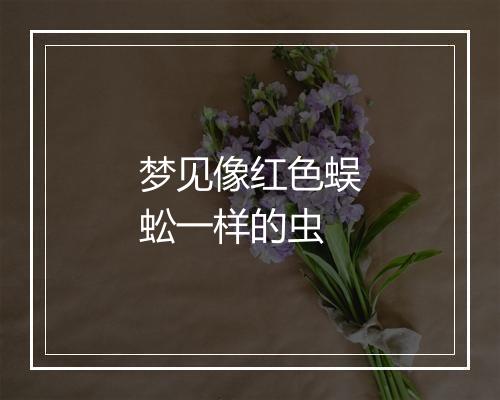 梦见像红色蜈蚣一样的虫