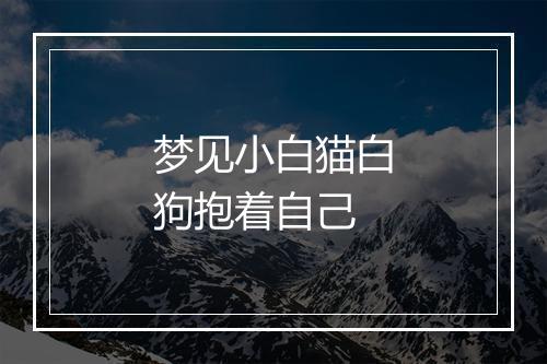 梦见小白猫白狗抱着自己