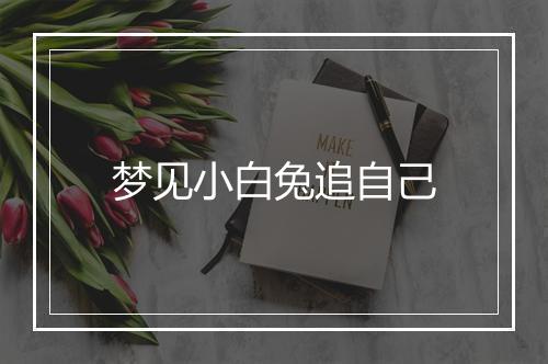 梦见小白兔追自己