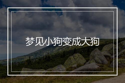 梦见小狗变成大狗