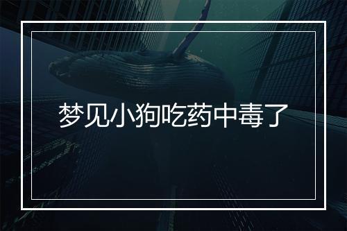 梦见小狗吃药中毒了