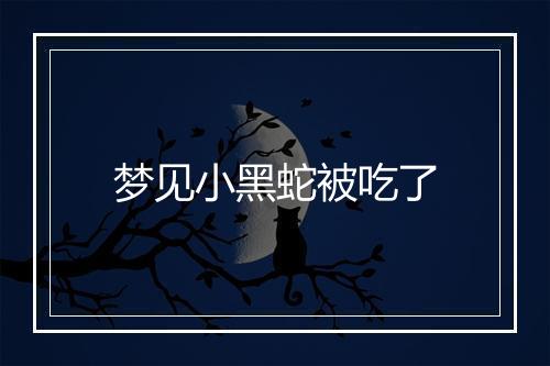 梦见小黑蛇被吃了