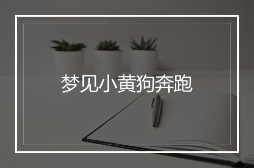 梦见小黄狗奔跑