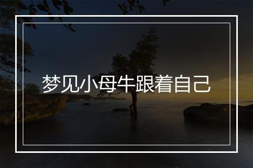 梦见小母牛跟着自己