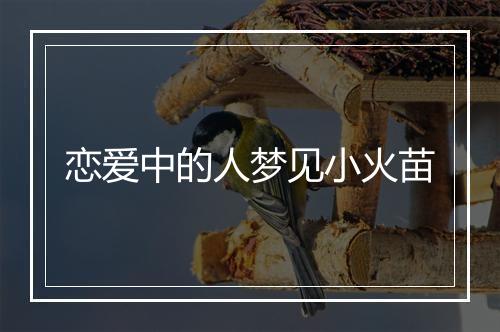 恋爱中的人梦见小火苗