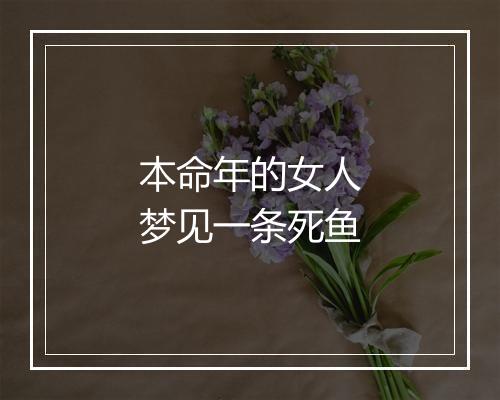 本命年的女人梦见一条死鱼