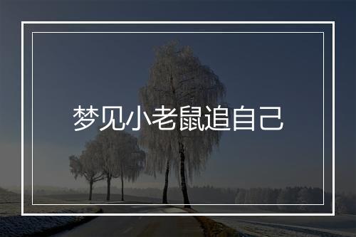 梦见小老鼠追自己