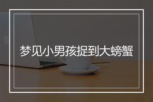 梦见小男孩捉到大螃蟹