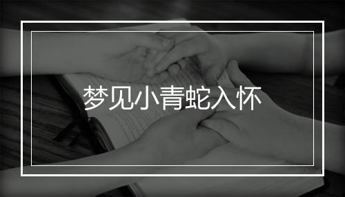 梦见小青蛇入怀