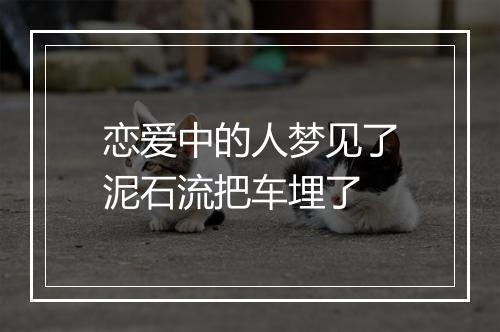 恋爱中的人梦见了泥石流把车埋了