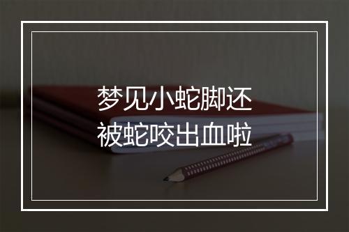 梦见小蛇脚还被蛇咬出血啦