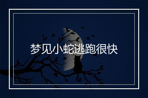 梦见小蛇逃跑很快