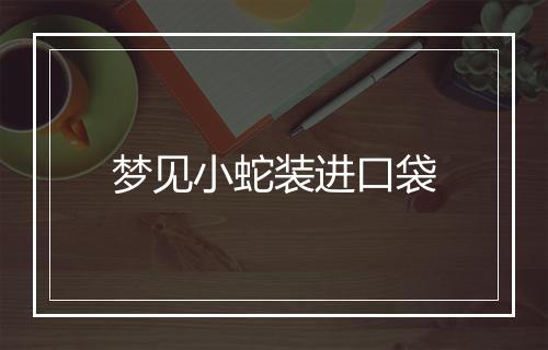 梦见小蛇装进口袋