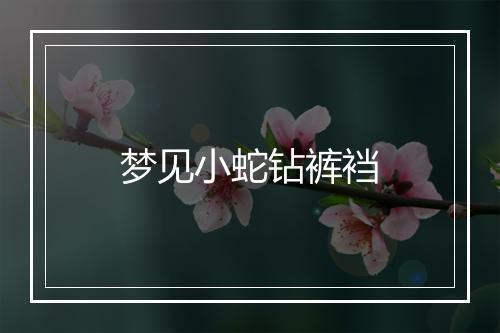 梦见小蛇钻裤裆