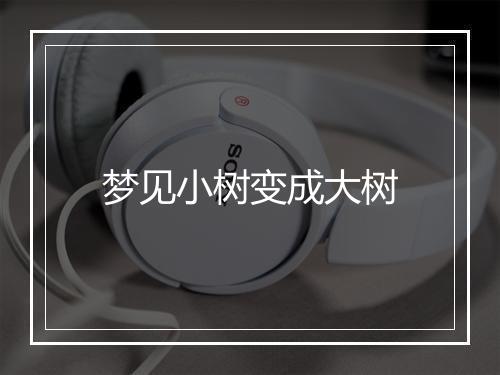 梦见小树变成大树