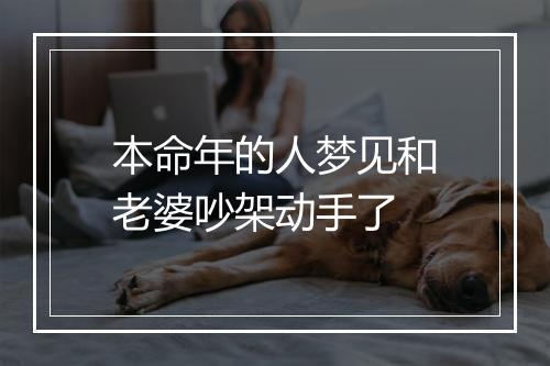 本命年的人梦见和老婆吵架动手了