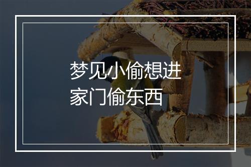 梦见小偷想进家门偷东西