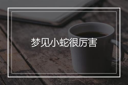 梦见小蛇很厉害