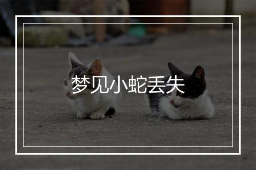 梦见小蛇丢失