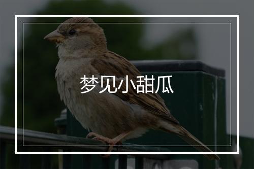 梦见小甜瓜