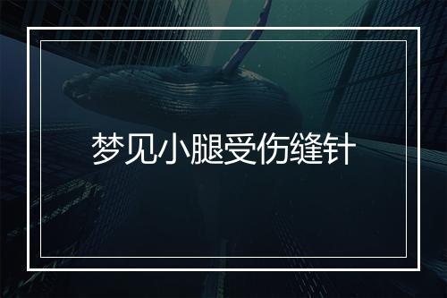 梦见小腿受伤缝针