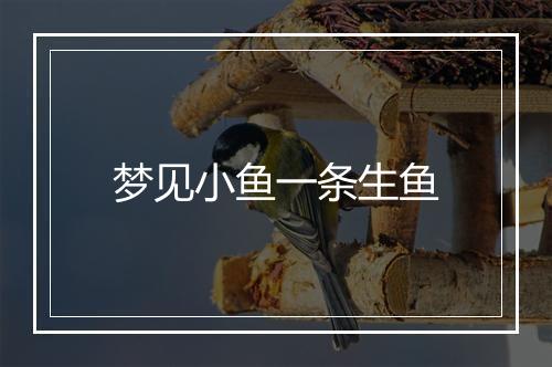 梦见小鱼一条生鱼