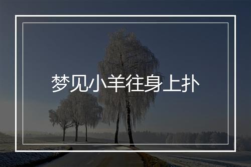 梦见小羊往身上扑