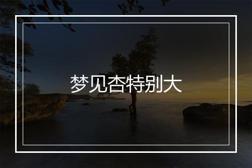 梦见杏特别大