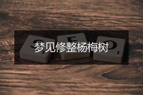 梦见修整杨梅树