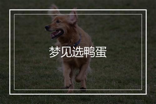 梦见选鸭蛋