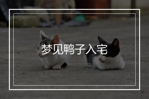 梦见鸭子入宅