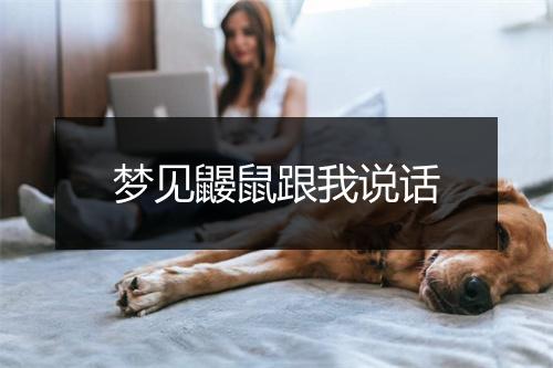 梦见鼹鼠跟我说话