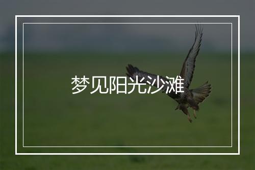 梦见阳光沙滩