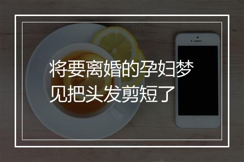 将要离婚的孕妇梦见把头发剪短了