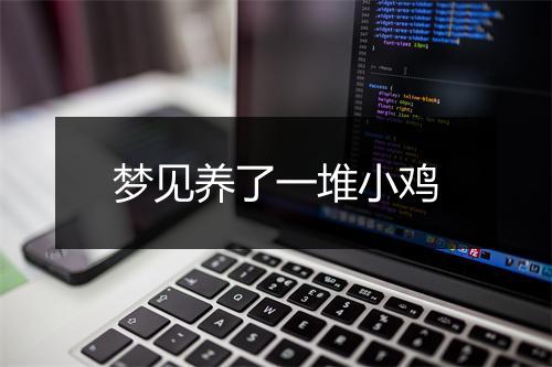 梦见养了一堆小鸡