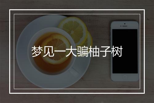 梦见一大骗柚子树