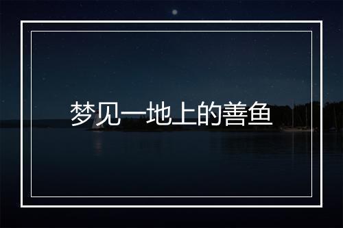 梦见一地上的善鱼